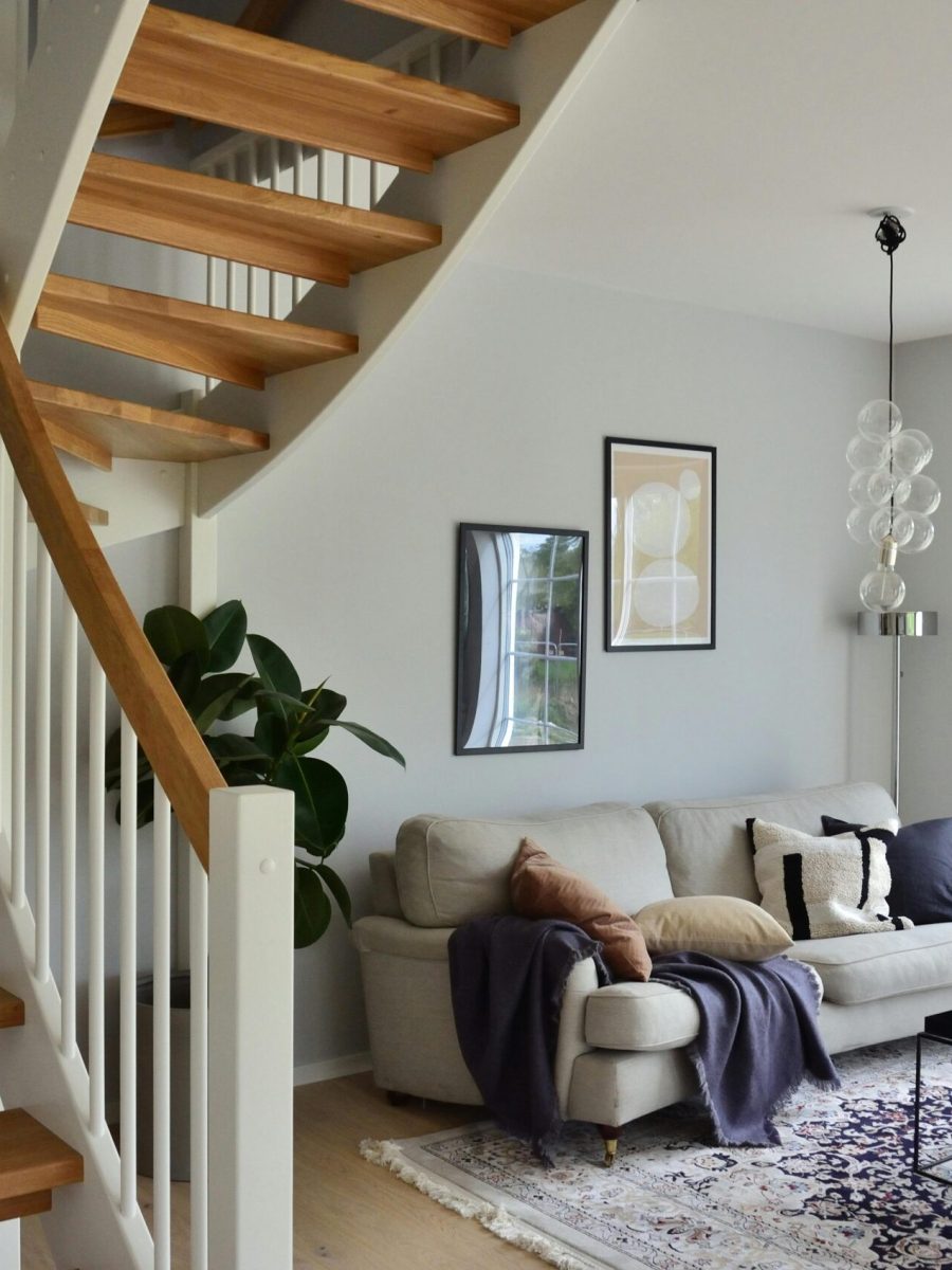 pexels-algrey-3705529